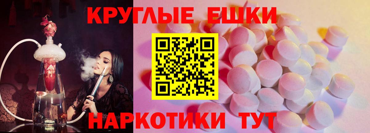 Ecstasy Philipp Plein Амурск