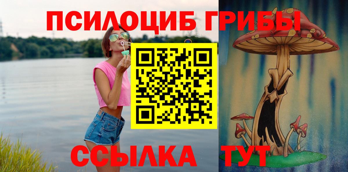 Псилоцибиновые грибы прущие грибы Амурск